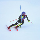 Austria_Alpine_Skiing_World_Cup_33146.jpg