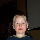 523976.jpg