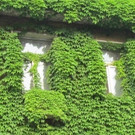Klimawand Schwendermarkt