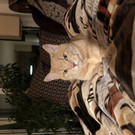 BB72031A-58F1-4190-8DEB-F396E0B06CDE.jpeg