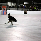 IMG_6793.JPG