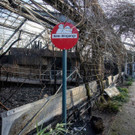 AFP_1NE1ZG.jpg