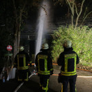 AFP_1NE039.jpg