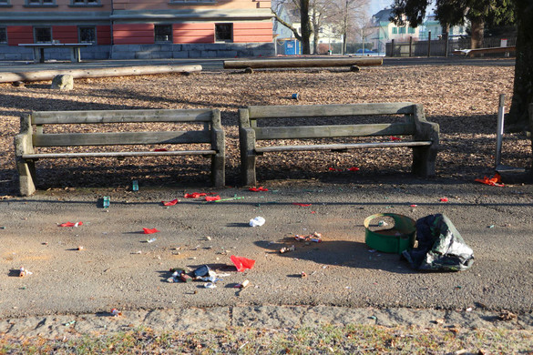 Plettenberg Park.jpg