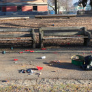 Plettenberg Park.jpg