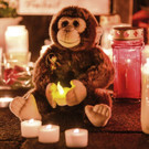 Germany_Zoo_Fire_82052.jpg