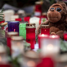 Germany_Zoo_Fire_19830.jpg