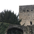 Die Tostner Burg in Feldkirch