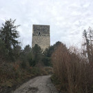 IMG_8073.JPG