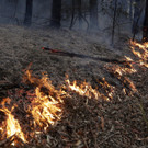 Australia_Wildfires_02791.jpg