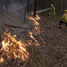 Australia_Wildfires_44381.jpg