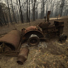 AFP_1NG395.jpg