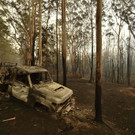 AFP_1NG396.jpg
