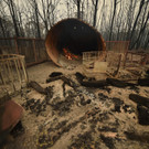 AFP_1NG392.jpg