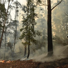 AFP_1NG391.jpg