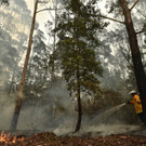AFP_1NG390.jpg