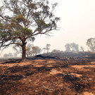 AFP_1NG312.jpg