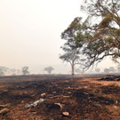 AFP_1NG30X.jpg