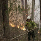Australia_Wildfires_68323.jpg