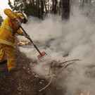 Australia_Wildfires_47759.jpg