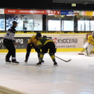 DSCI3439.JPG