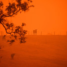 AFP_1NG31B.jpg