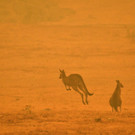AFP_1NF7X0.jpg