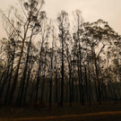 AFP_1NF0J3.jpg