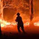 AFP_1ND4RB.jpg