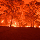 AFP_1ND4L4.jpg