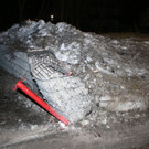 AFP_1NH5C5.jpg