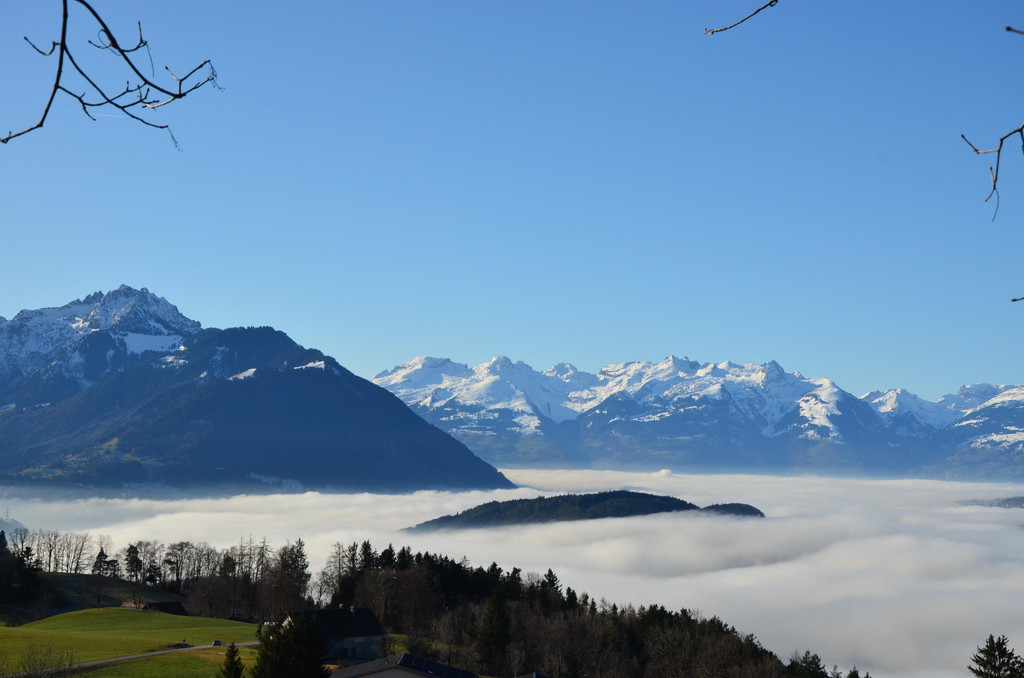 Natur 020120_28.JPG