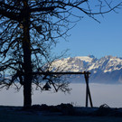 Natur 020120_20.JPG