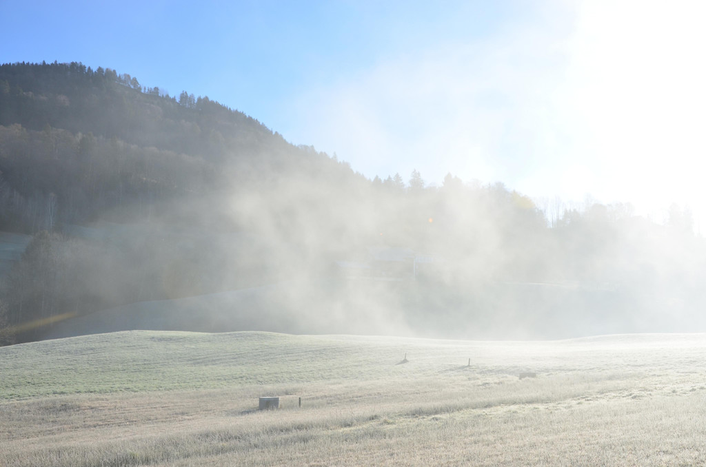 Natur 020120_14.JPG
