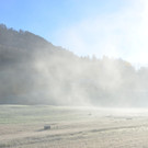 Natur 020120_14.JPG