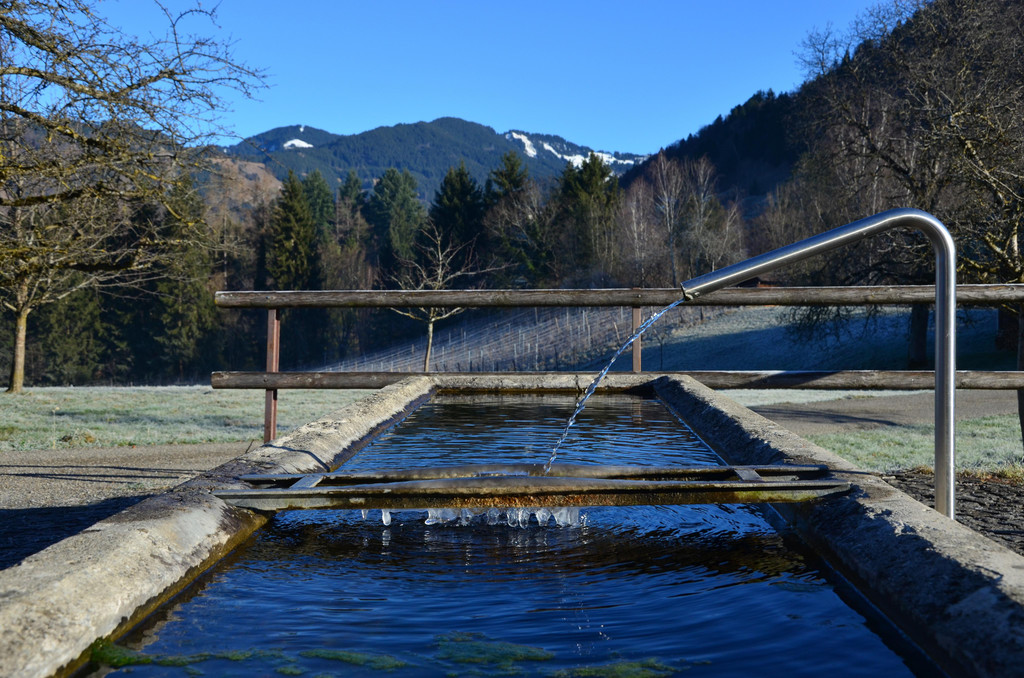 Natur 020120_15.JPG