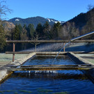 Natur 020120_15.JPG
