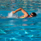 Kraulschwimmen 2.jpg
