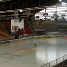 542295.jpg