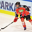gess.jpg