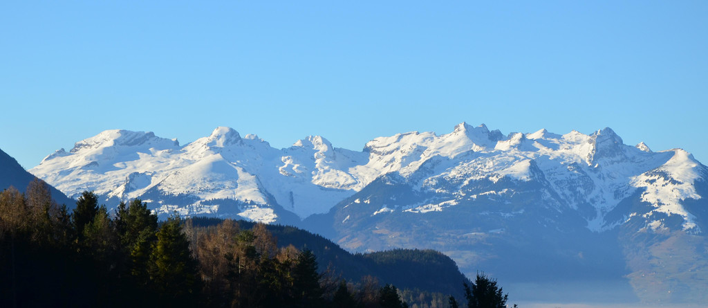 Natur 120120_3.JPG