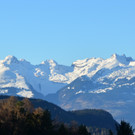 Natur 120120_3.JPG