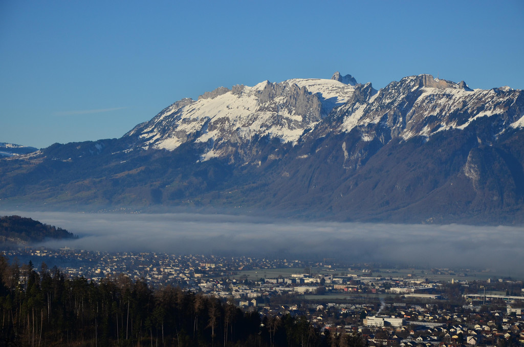 Natur 120120_4.JPG
