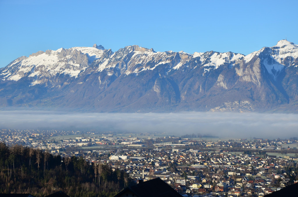 Natur 120120_5.JPG