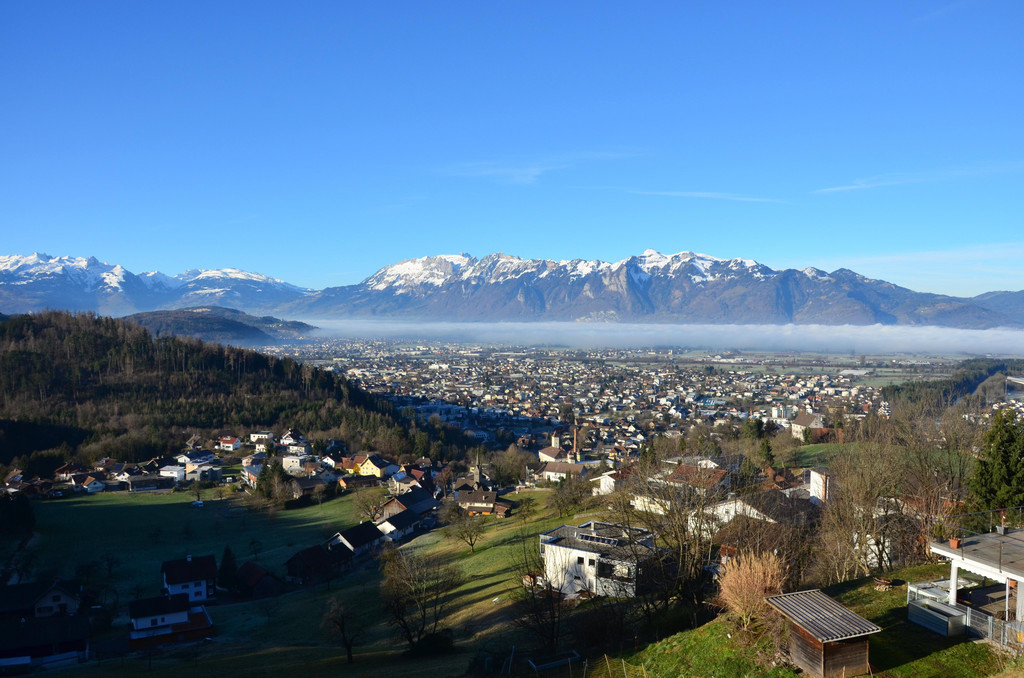Natur 120120_6.JPG
