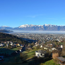 Natur 120120_6.JPG
