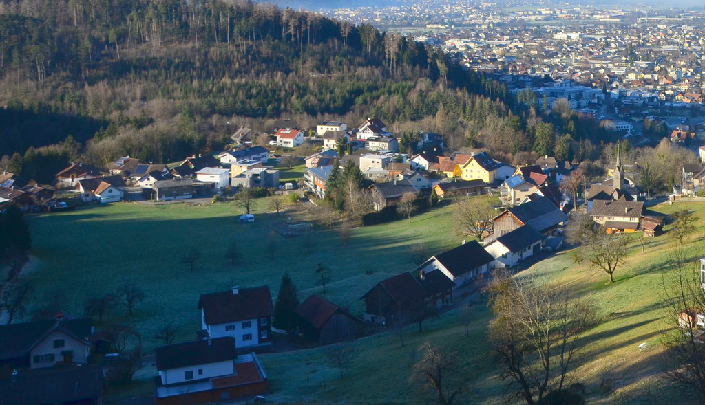 Natur 120120_7.JPG