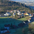 Natur 120120_7.JPG