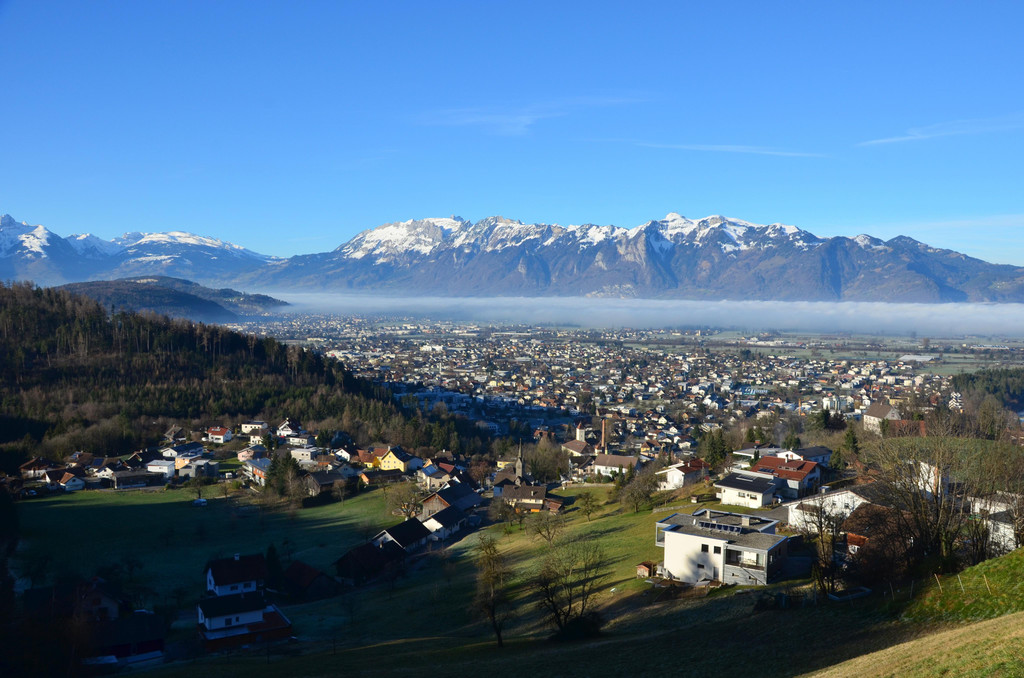 Natur 120120_9.JPG