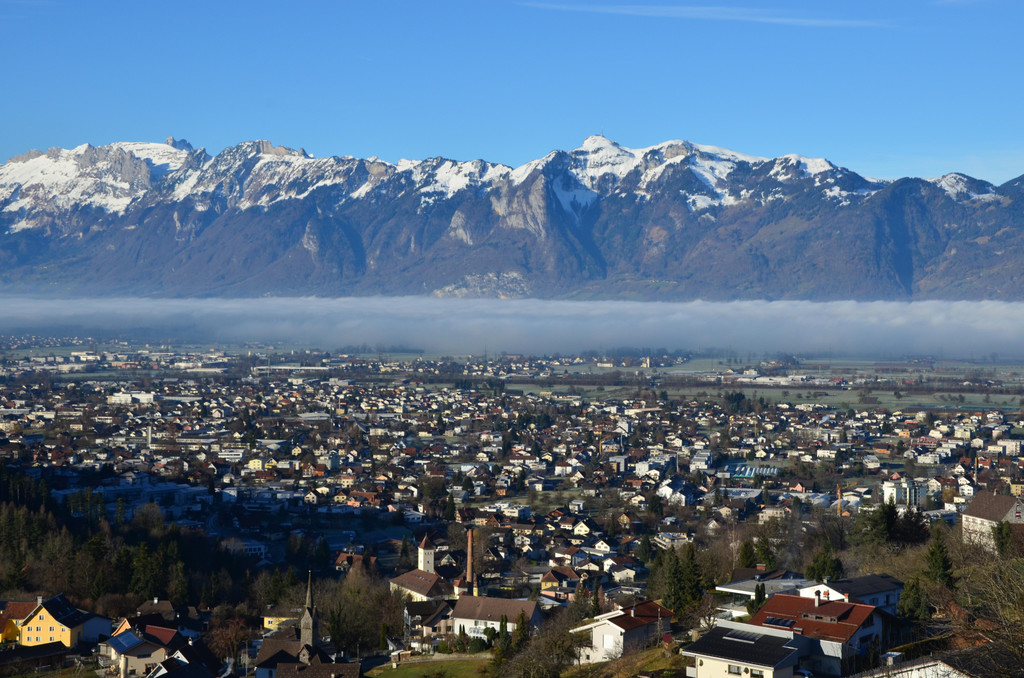 Natur 120120_10.JPG